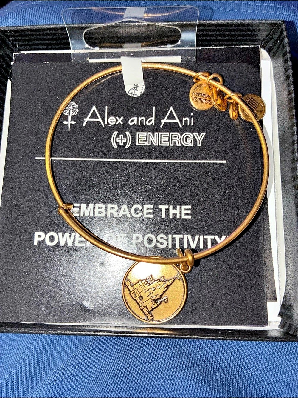 Disney castle Alex and Ani Energy Bracelet Gold-Tone Charm Bracelet NWT